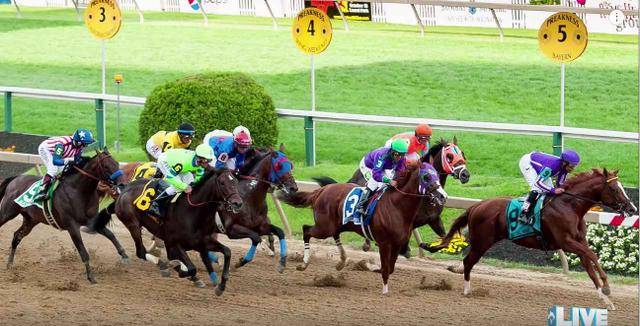 画像1: 混み合ったラストの直線。どれが馬券を買った馬⁉︎
