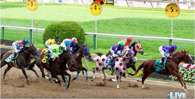 画像2: 混み合ったラストの直線。どれが馬券を買った馬⁉︎