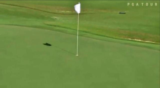 画像5: jp.pgatour.com