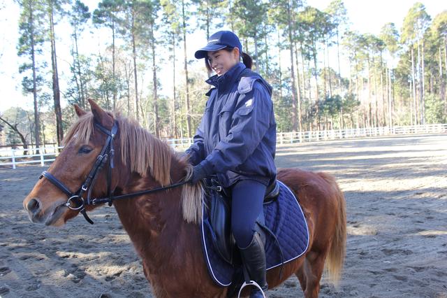 画像: レベル別に乗馬方法も変えることが可能