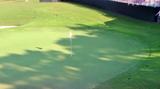 画像4: jp.pgatour.com