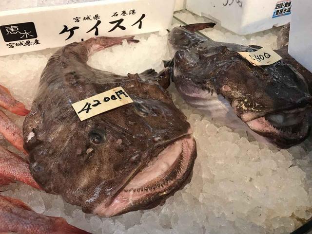 画像: 大洗の冬の名物、あんこう。あんこう汁が絶品!