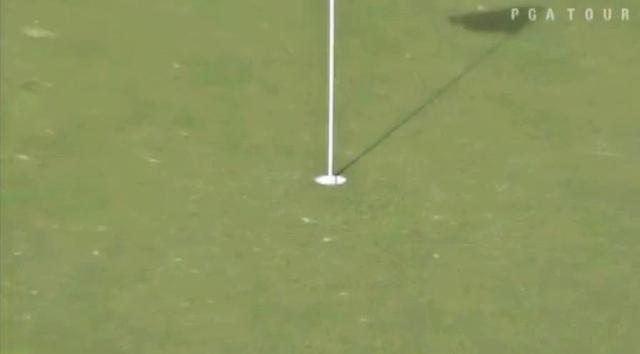画像7: jp.pgatour.com