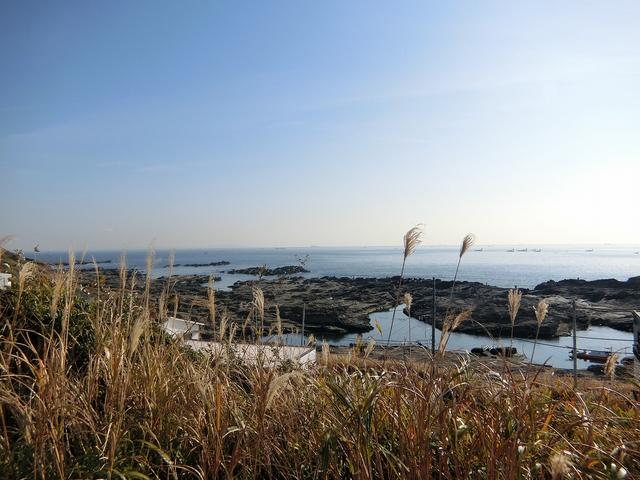画像: 公園内から相模湾が一望できる
