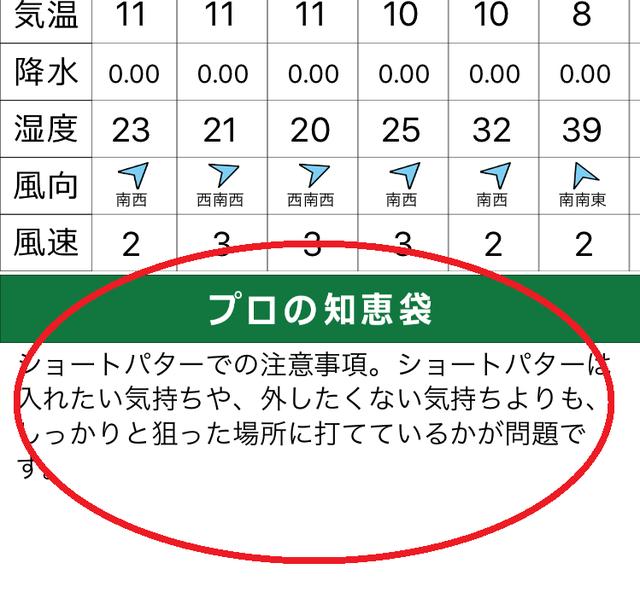 画像: プロのアドバイスはランダムに表示される