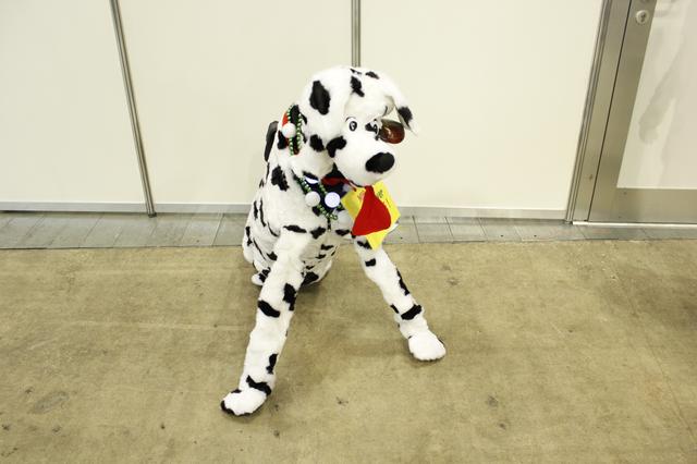 画像: 次はどのクラブにするワン?