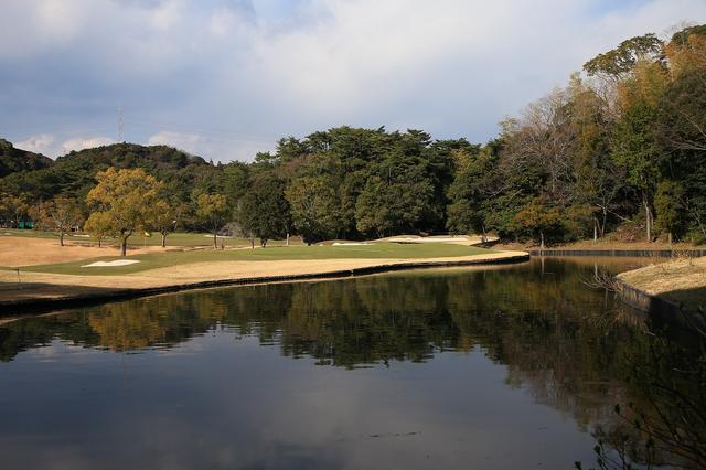 画像: グリーン後ろから。池がグリーンを囲む。奥にピンが切られると、難易度が一気に増す。果敢に攻められる選手はいるのか!?