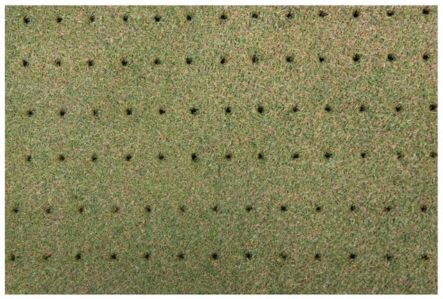 画像: 芝にあいた無数の穴、見たことありませんか? こちらは通常のエアレーション