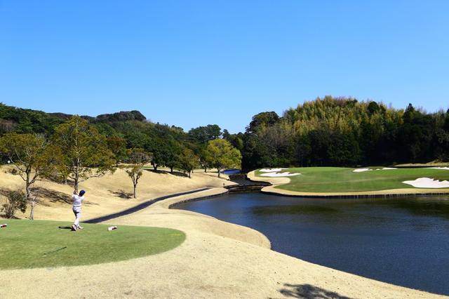 画像: 3方を池に囲まれた17番の名物パー3。渡邉彩香は最終日、惜しくもバーディを逃した