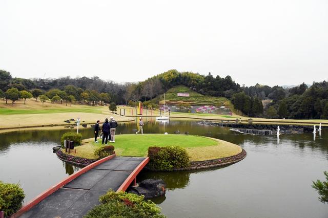 画像: 11番の“アイランドティ”