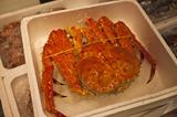 画像: 贅沢にも丸々1杯!