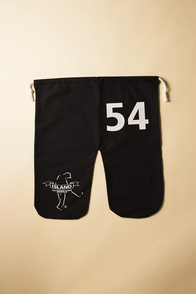 画像: 全ホールバーディ「54」をイメージ