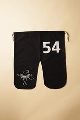 画像: 全ホールバーディ「54」をイメージ