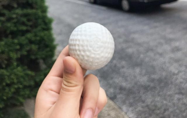 画像: 白い最中に、こし餡が入っている