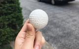 画像: 白い最中に、こし餡が入っている
