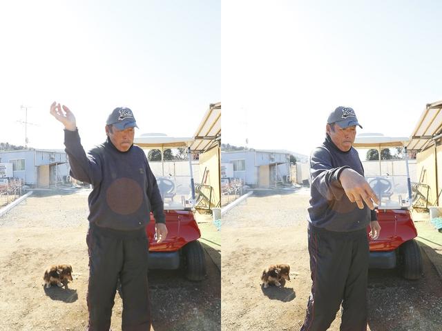 画像: 野球の手首の使い方をゴルフに応用