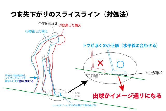 画像: 図3.正解の青のシルエットを見てみよう。ひざを曲げることでトウを浮かせて構えるのが「平地と同じ」構えに相当する