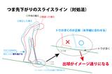 画像: 図3.正解の青のシルエットを見てみよう。ひざを曲げることでトウを浮かせて構えるのが「平地と同じ」構えに相当する