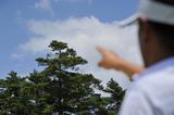 画像: 木の枝【信頼度70%】林の上にボールが出ると風に流される。木の枝の先を観察しておけば大きく間違うことはない