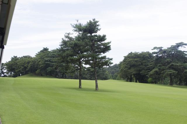 画像5: 中村寅吉設計の難易度特Aの丘陵コース