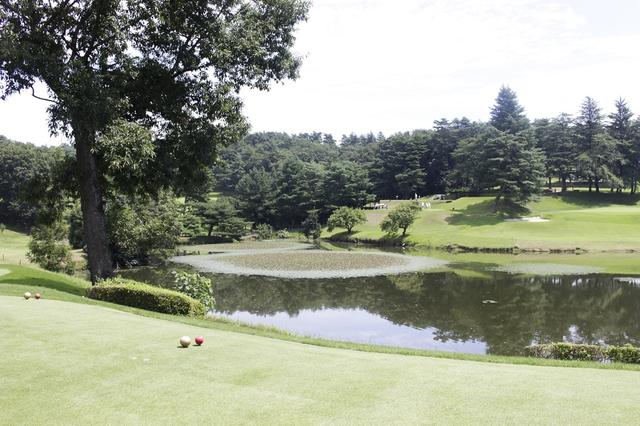 画像8: 中村寅吉設計の難易度特Aの丘陵コース