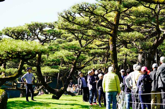 画像: 石川(写真左)の見つめる先の木の上に、ボールがある