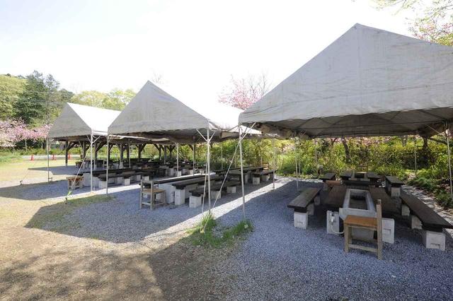 画像: プレー後はBBQを楽しもう!