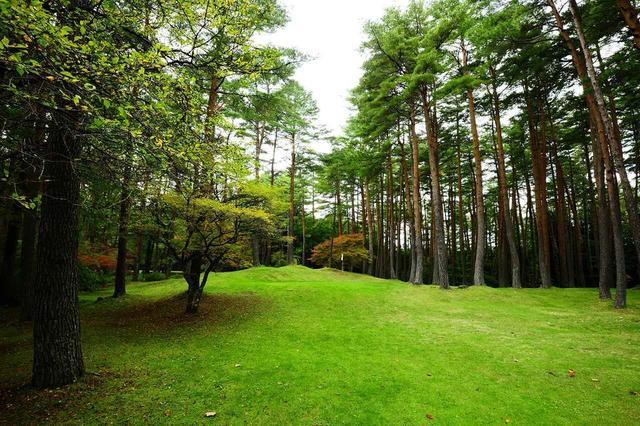 画像: 1番ホール・パー3(60ヤード)木々に囲まれたコースはフェアウェイを狭く感じさせる