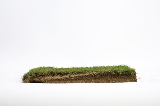 画像: 「プレシジョン」のターフ跡断面。厚さ3センチのベント芝ロールの底に達するほど深くヘッドが入ってしまった。
