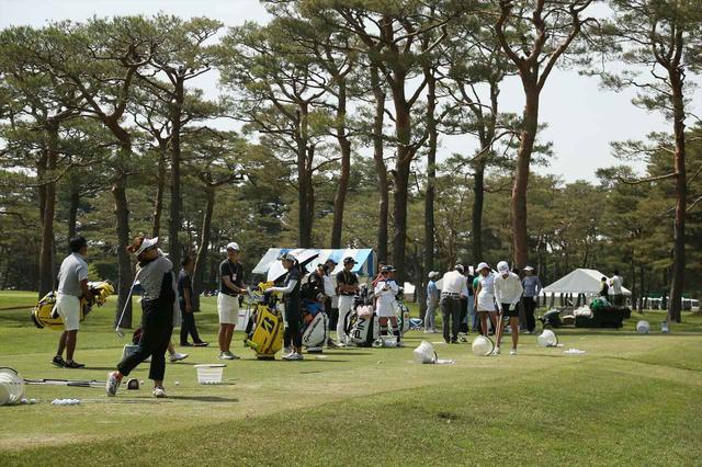画像: 練習場では普段見られない選手たちの貴重な姿を見ることができる