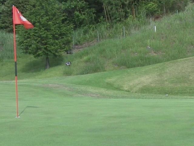 画像: 想定よりも飛距離が出て、グリーン奥のラフに