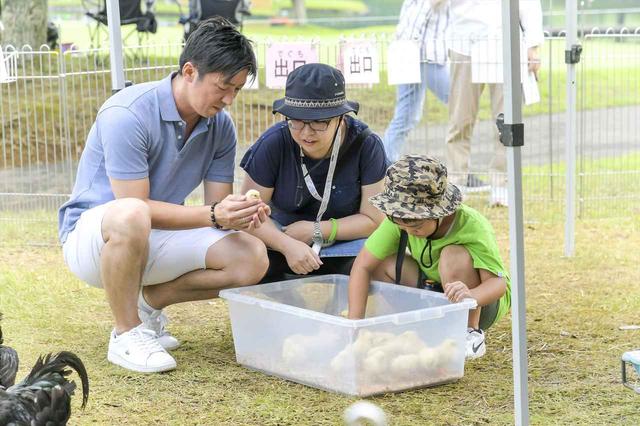 画像: キッズパークではポニーに乗れたり小動物と戯れることができる。これには子供も大喜びだ