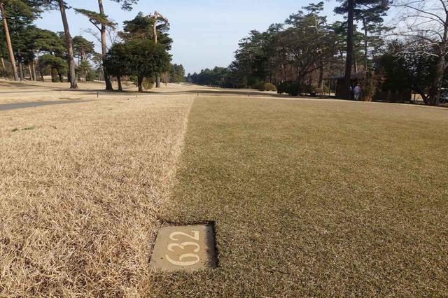 画像: 松山英樹が2打目をオーバーしたという14番632ヤードのパー5