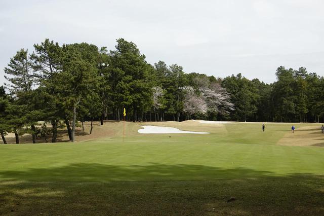 画像: 千葉県・太平洋クラブ八千代コース。都心からアクセスしやすいスループレー専用コースだ(写真は17番ホール パー5)