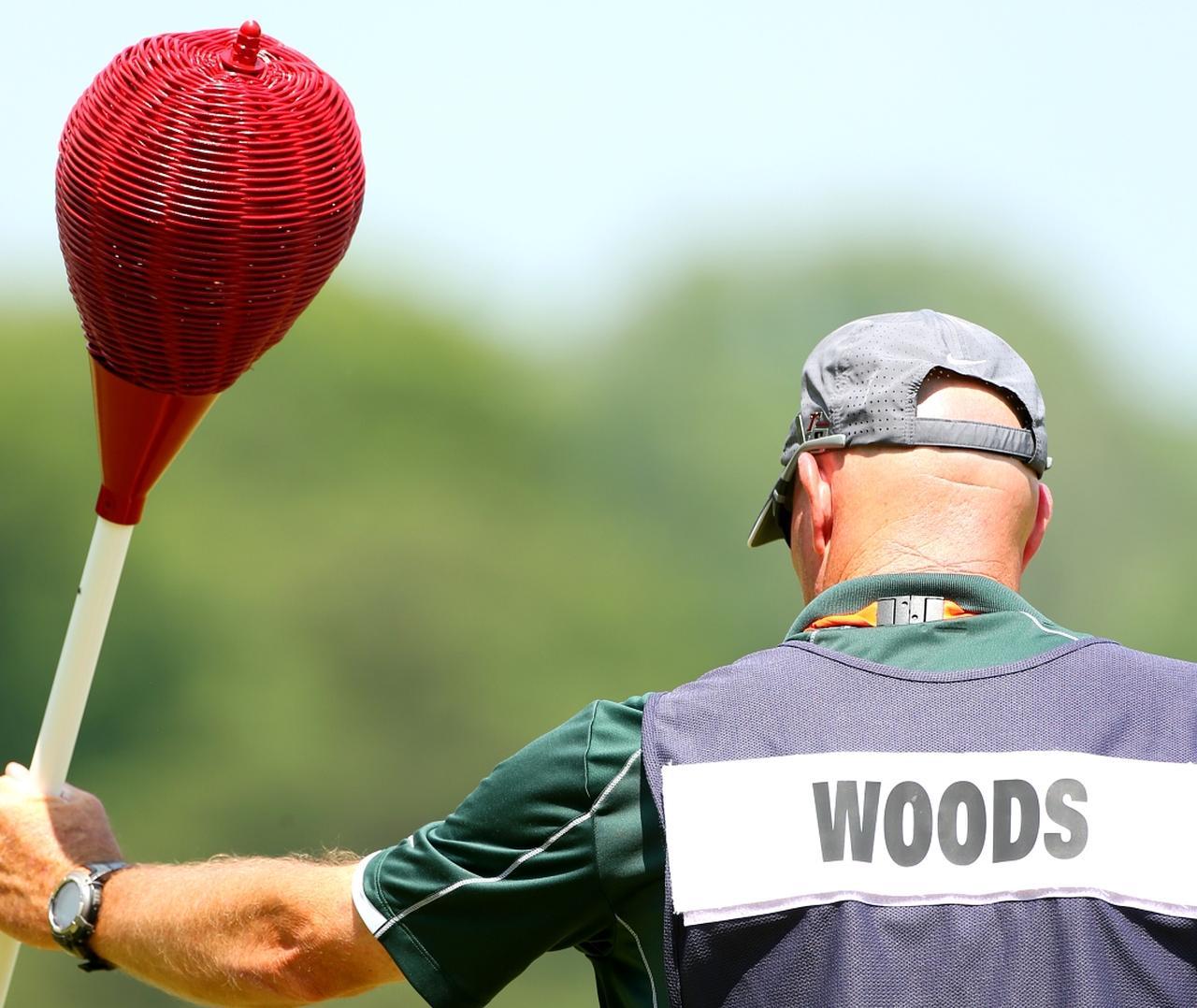 ウィッカー製吊り下げ式バスケット卵型 491f5e25fc74f750053ea5c6391a8a