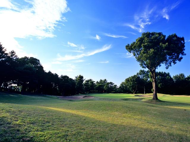 画像: 熊本県 熊本空港カントリークラブ