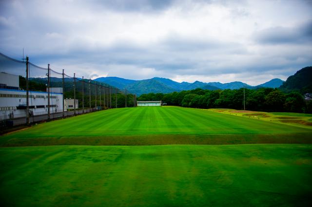 画像: 天然芝の巨大なテストフィールド