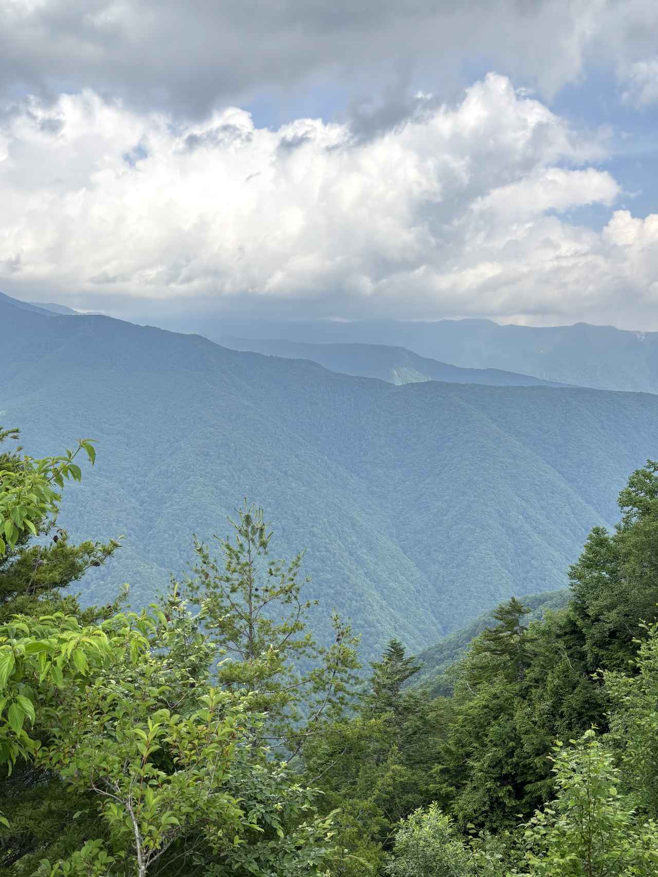 画像: しらびそ峠