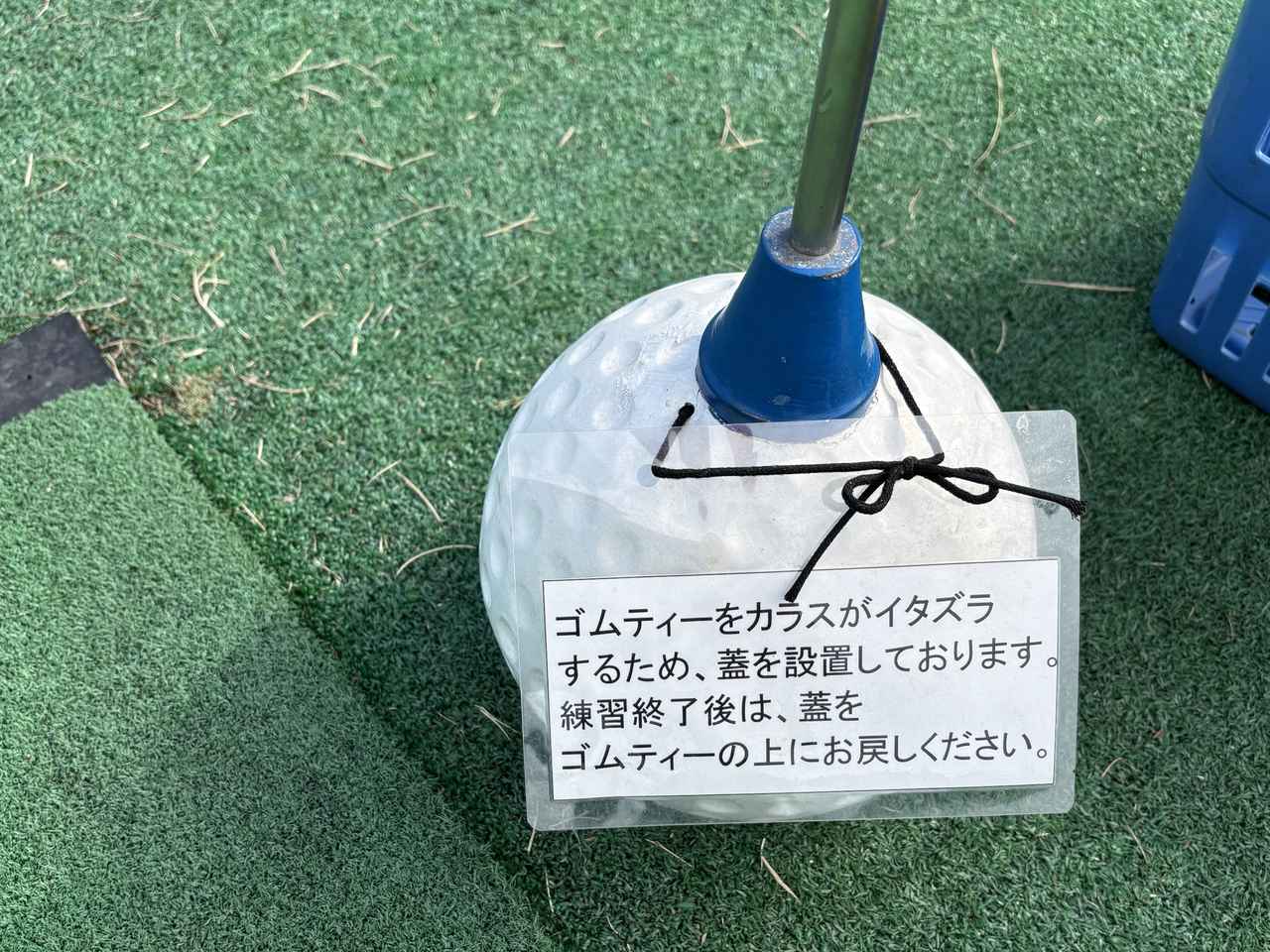 画像: こんなの初めて見ました！