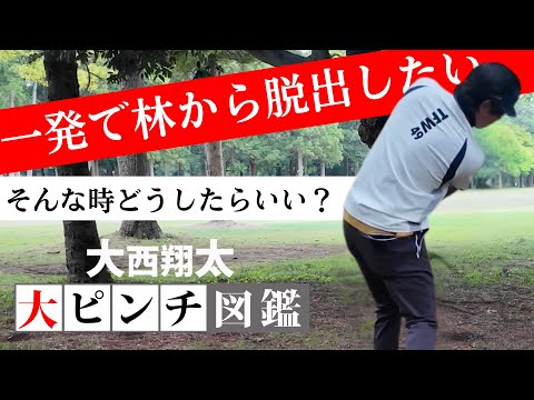 画像1: - YouTube youtu.be