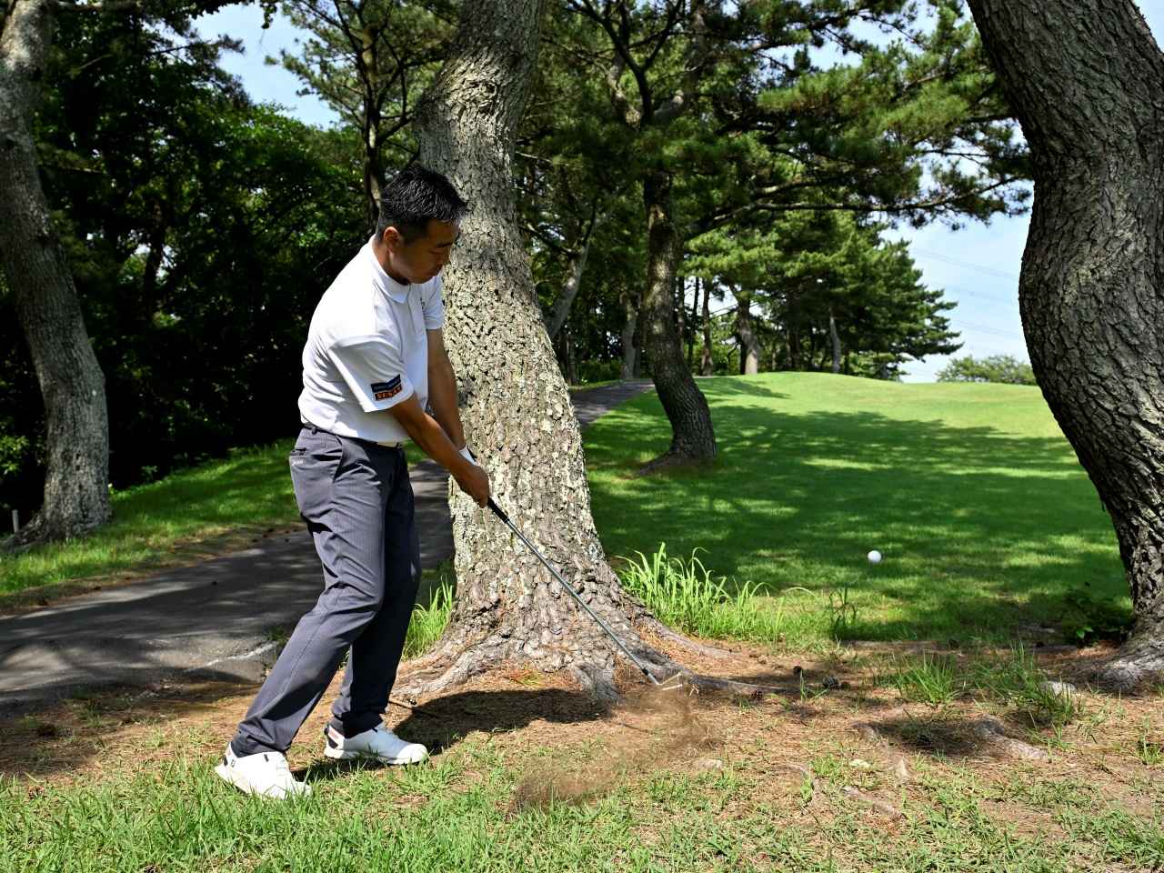 画像: 林の中から“キレイに出せる”のは上級者の絶対条件だ!