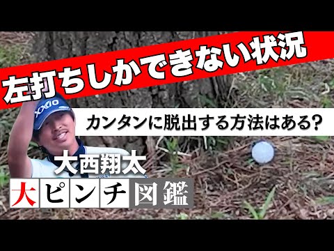 画像1: - YouTube youtu.be