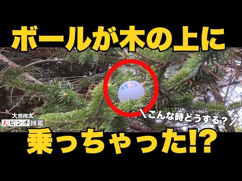 画像1: - YouTube youtu.be