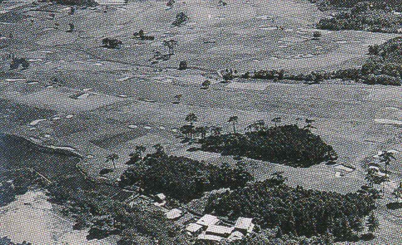 画像: 東京GC駒沢