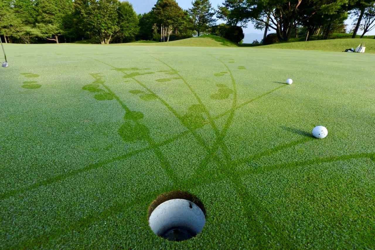 画像: 朝の2、3ホールは距離感を意識して、終盤はルーティンや一定のリズムを守ることが大切だ