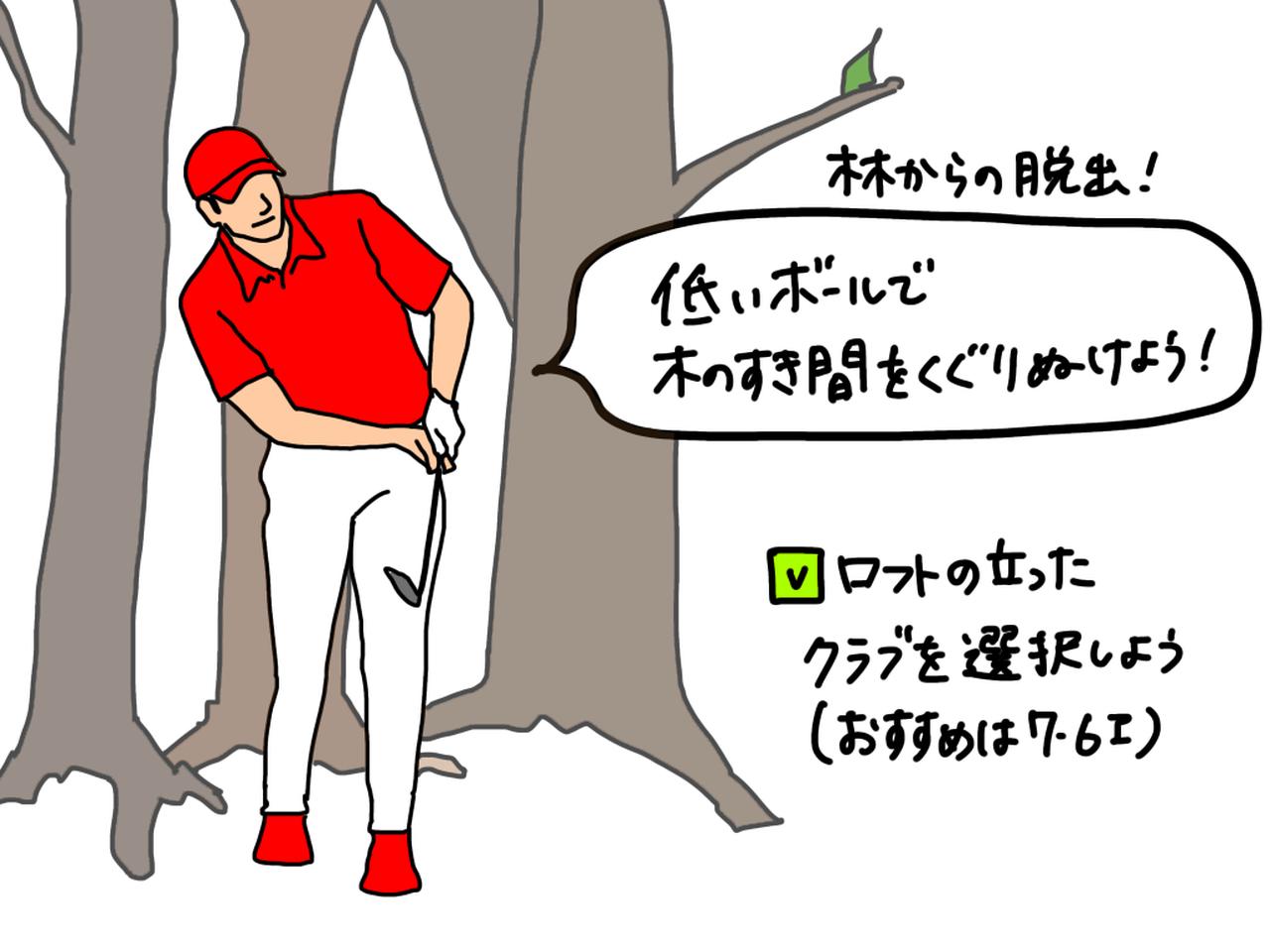 画像: 林からの脱出は木に引っかからないように低くボールを打つことが大切。7、6番アイアンのようなロフトの立った番手を選択しよう