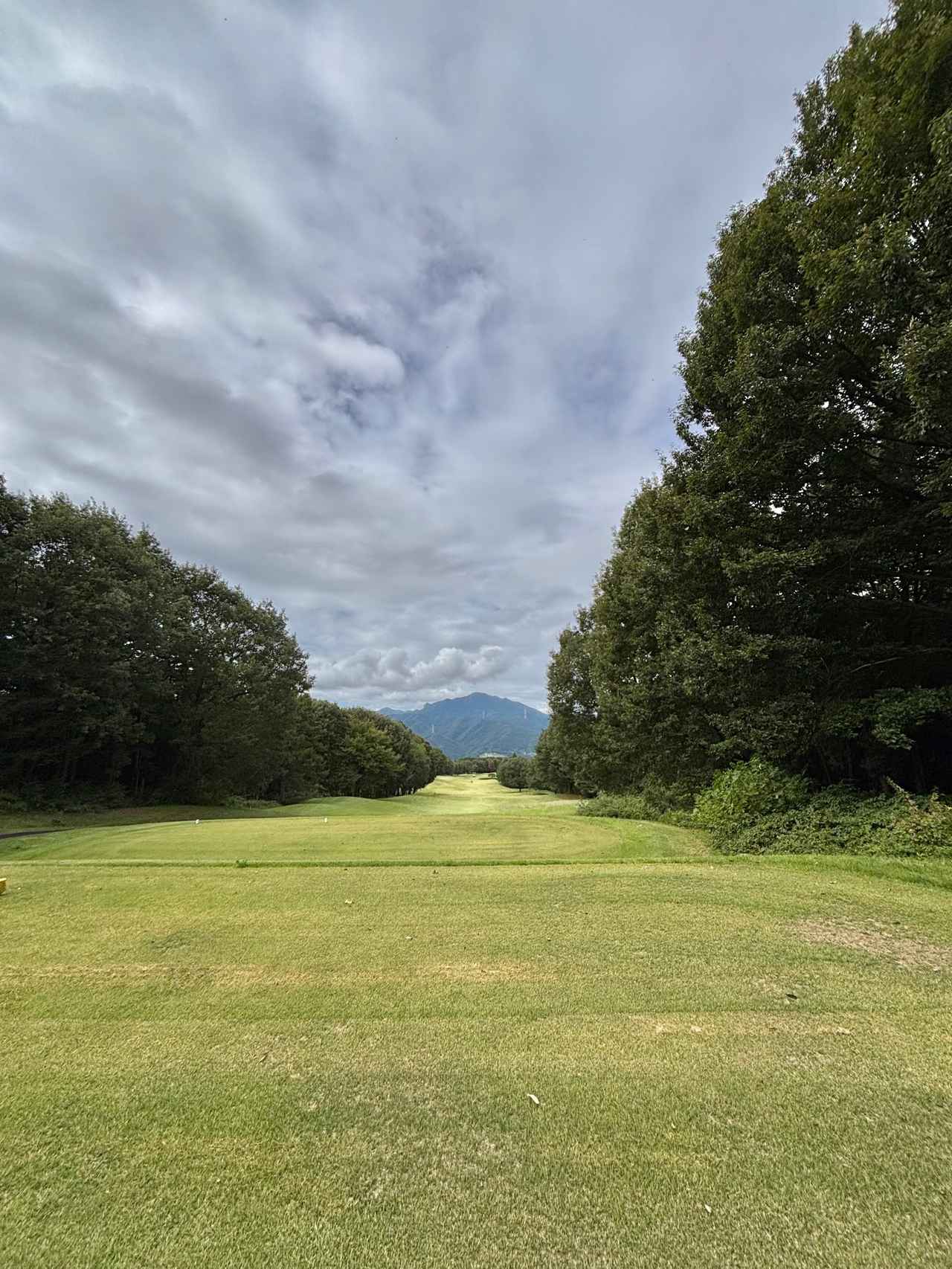 画像 : 昭和の森Gの思い出①