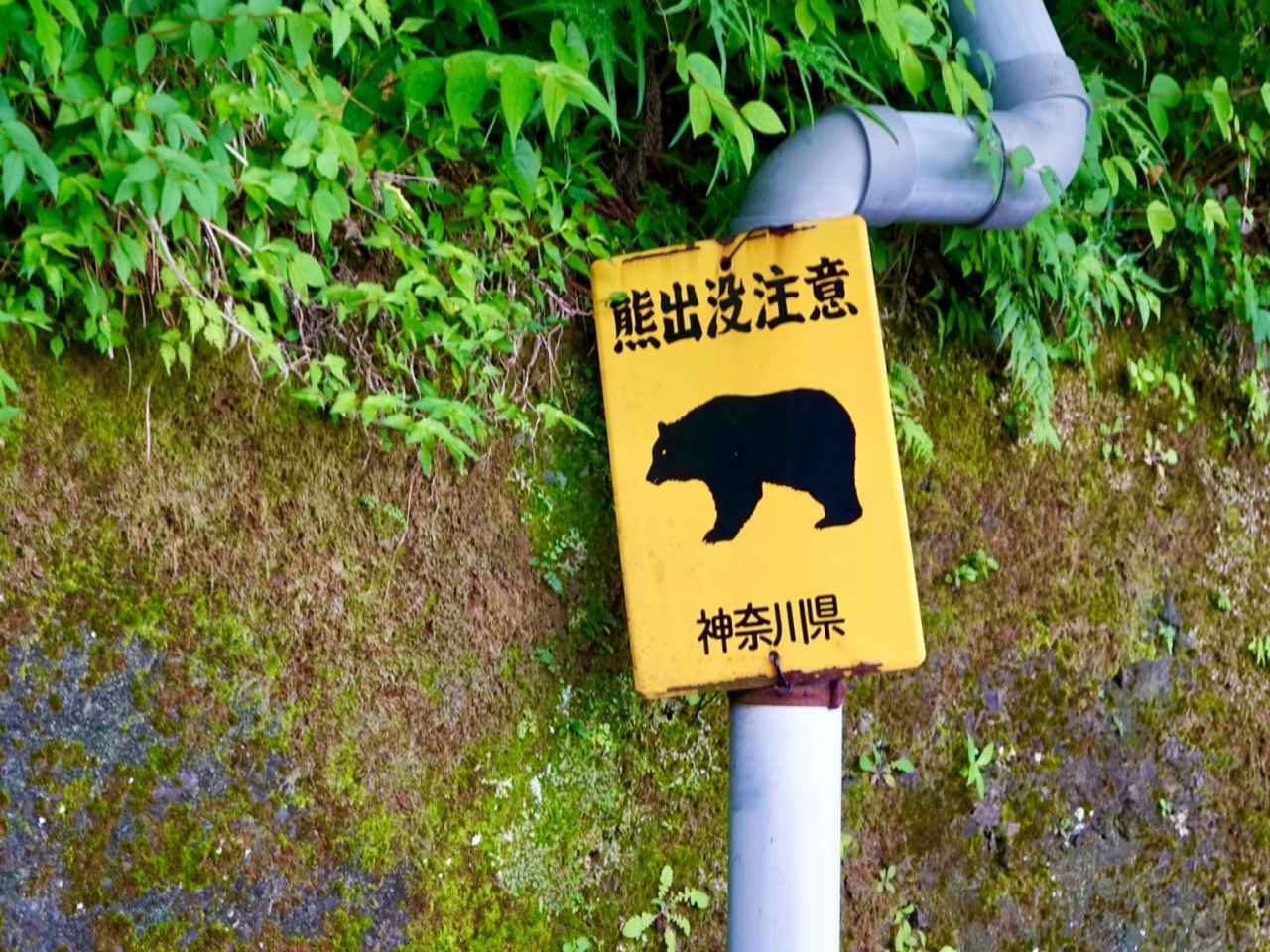 画像: 神奈川県