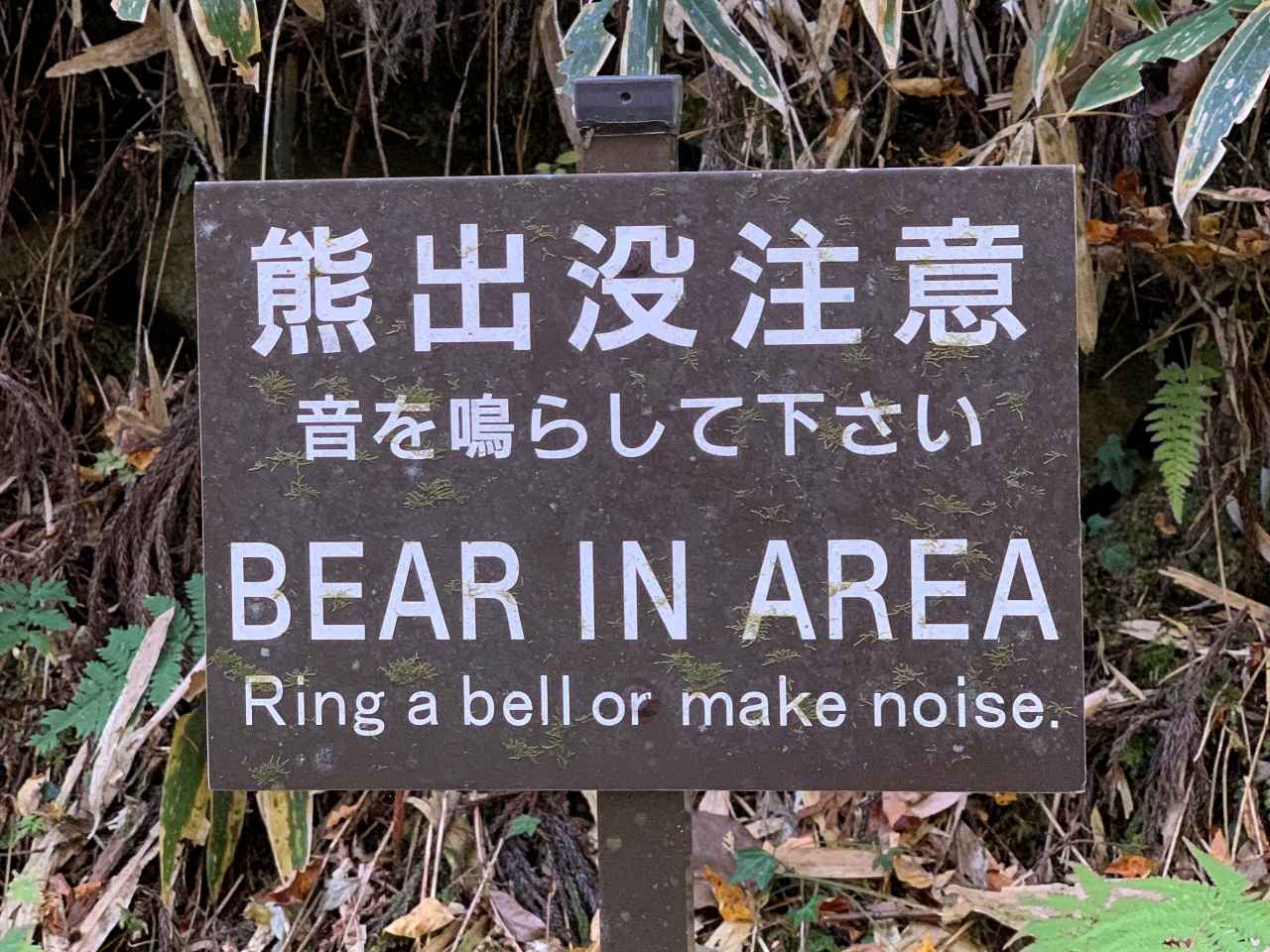 画像: クマ出没の注意発起