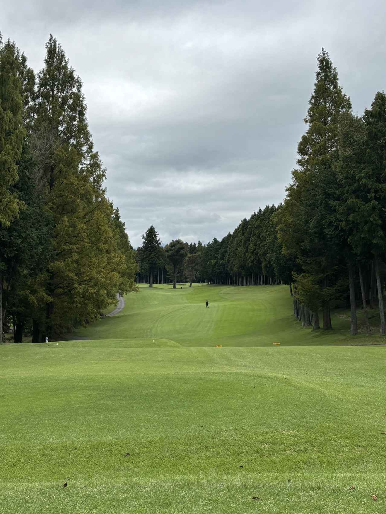 画像 : 4番目の画像 - GORA KADAN FUJI GOLF、御殿場東名GC、GDO茅ヶ崎GLの思い出 - みんなのゴルフダイジェスト